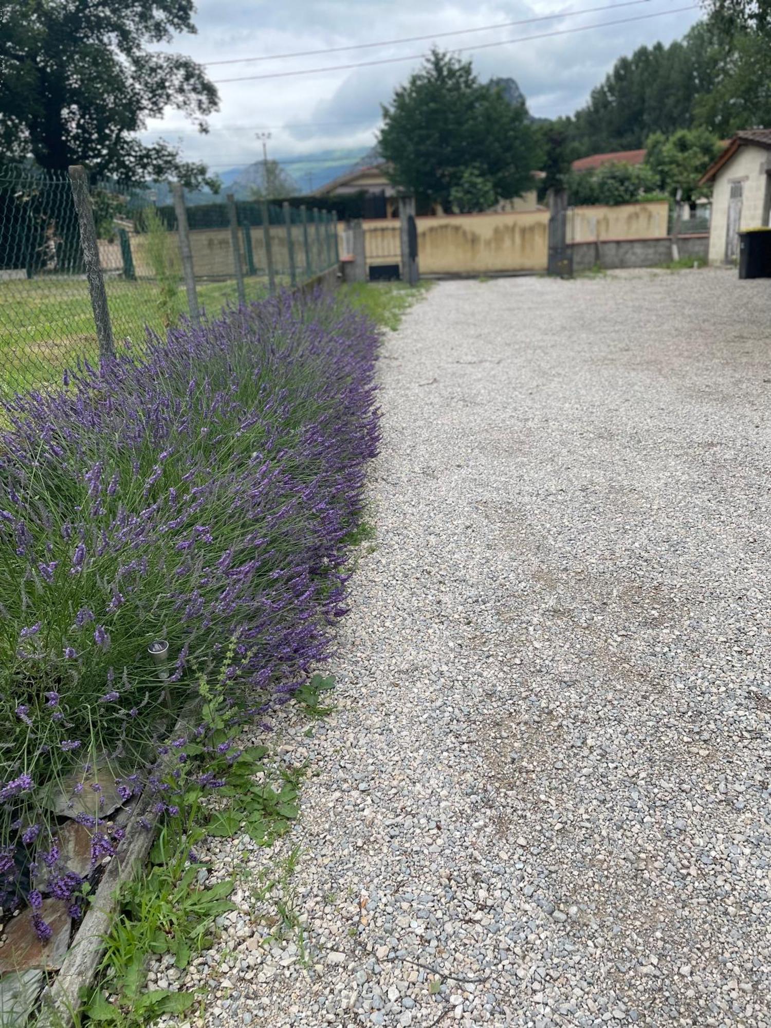 Appartement A Tarascon Sur Ariege Le Sabart Εξωτερικό φωτογραφία